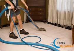 Carpet Cleaning from Tom